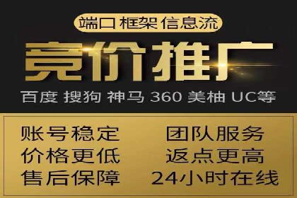 案例研究：如何通过竞价广告实现精准营销